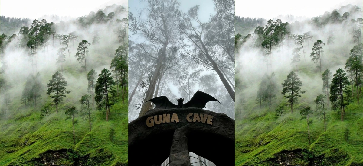 Ooty Kodaikanal Packages